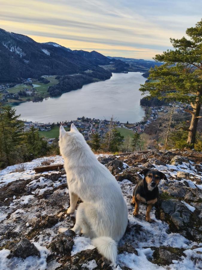Ferienhaus Gerlach Hintersee Luaran gambar